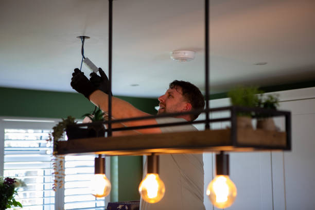 Best Electric Panel Repair  in Omaha, TX
